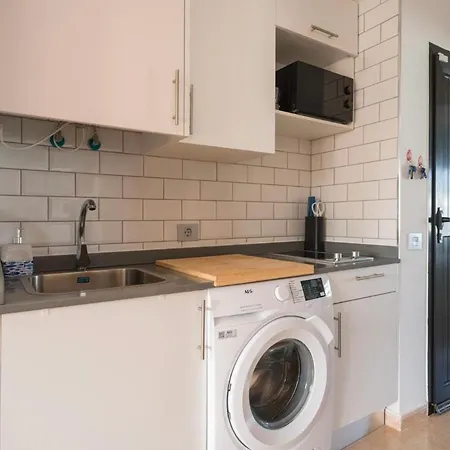 Sunny & Vibrant Коральео