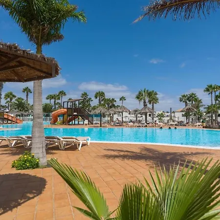 Sunny & Vibrant Apartment